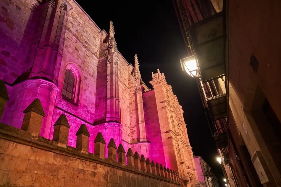 Iluminación de violeta de la Fachada Rica del Edificio Histórico. Foto: Usal