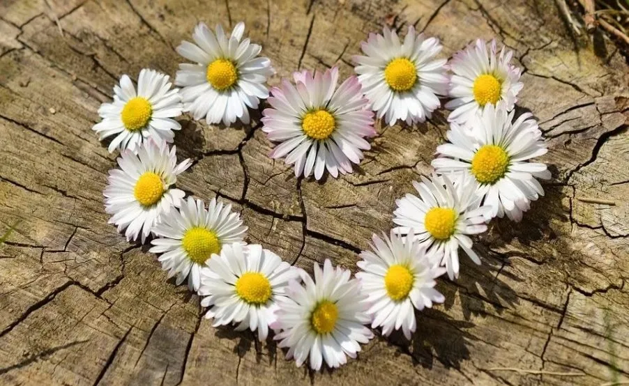 Tiempo para el perdón