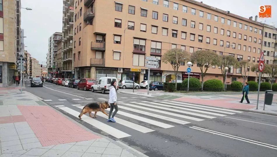 Castilla y León lidera el desplome de los precios de los garajes, hasta un 37% en cinco años    ...