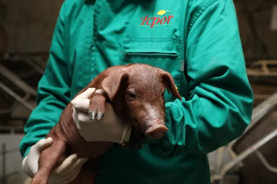 En un ejercicio caracterizado por la incertidumbre derivada de la pandemia provocada por la COVID-19, la inversión realizada se ha traducido en la generación de más de 211 empleos