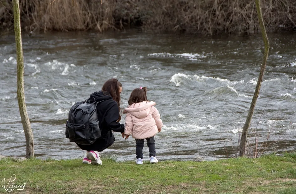 Lecciones maternales