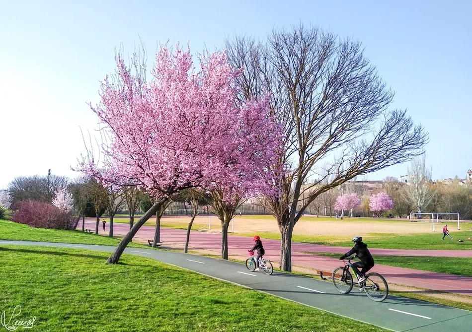 Irrupción primaveral
