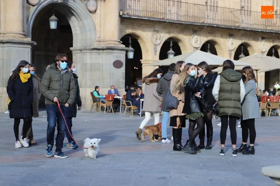 Animado sábado en el centro de Salamanca