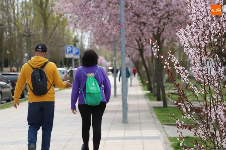 La primavera ya está aquí