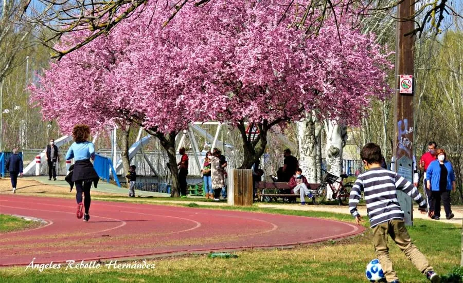 Disfrute para una tarde de fiesta