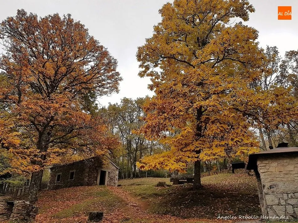 La Honfría es uno de los parajes de visita obligada en Linares de Riofrío