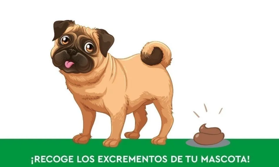 Imagen del cartel de la campaña