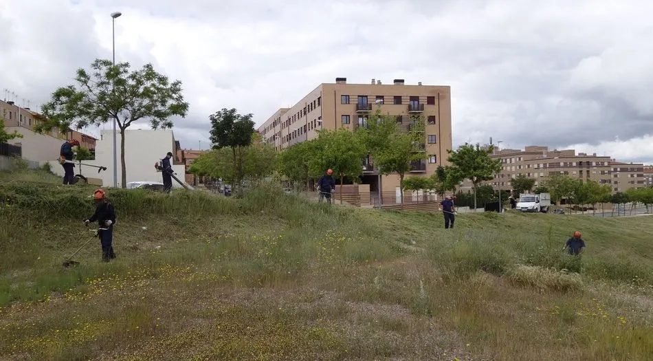 Se limpiarán los solares municipales de toda la ciudad, dando prioridad a las zonas más próximas a los núcleos de población, residencias, colegios o parques infantiles