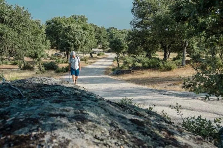 Camino de San Francisco de Asís