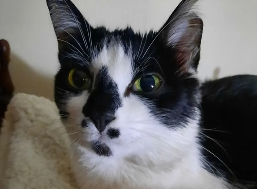 Iría, en su última foto