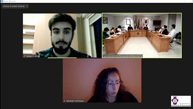 Imagen telemática del Pleno celebrado hoy en el Ayuntamiento de Peñaranda