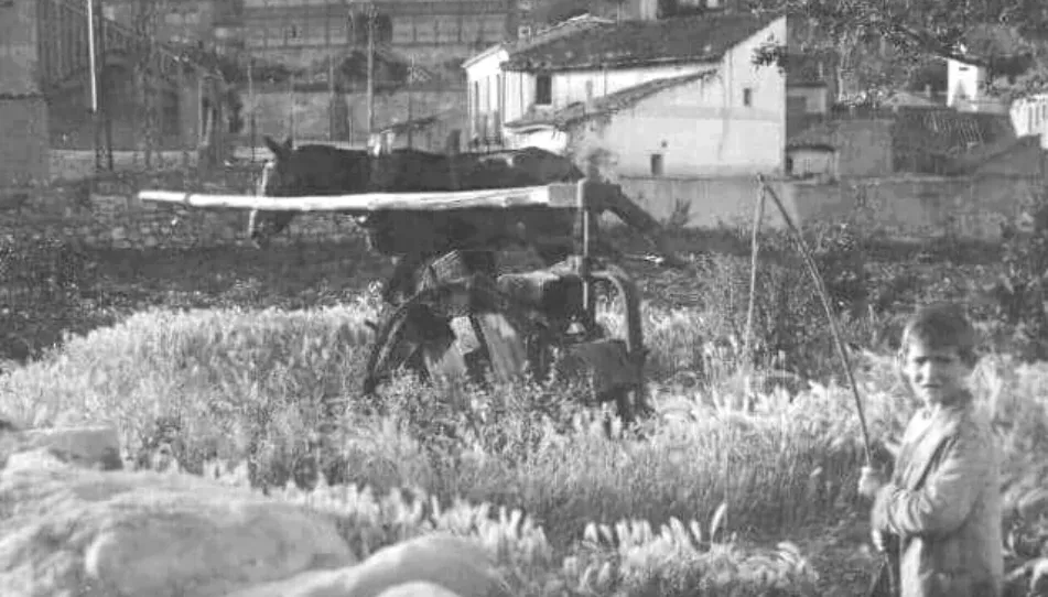 Las antiguas norias de tiro o de sangre