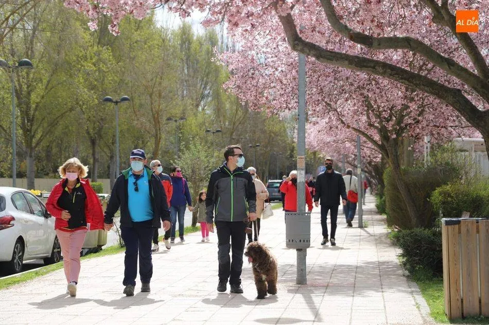 Varios grupos de personas con mascarilla paseando por la ciudad