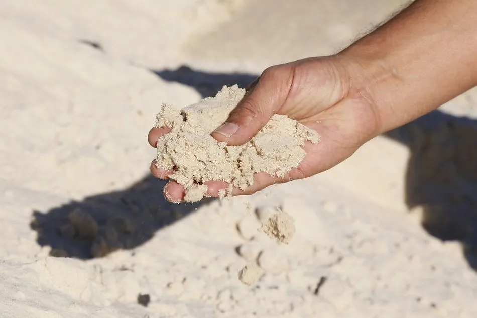 Las arenas Q-bed de Erimsa favorecen la productividad del sector ganadero  