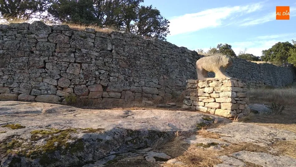 La escultura de un verraco protege la puerta vetona del castro / E. Corredera