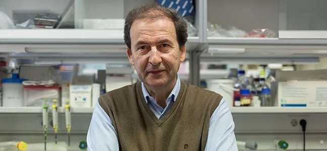 Alberto Orfao, catedrático de Medicina de la Universidad de Salamanca y vicedirector del Centro de Investigación del Cáncer