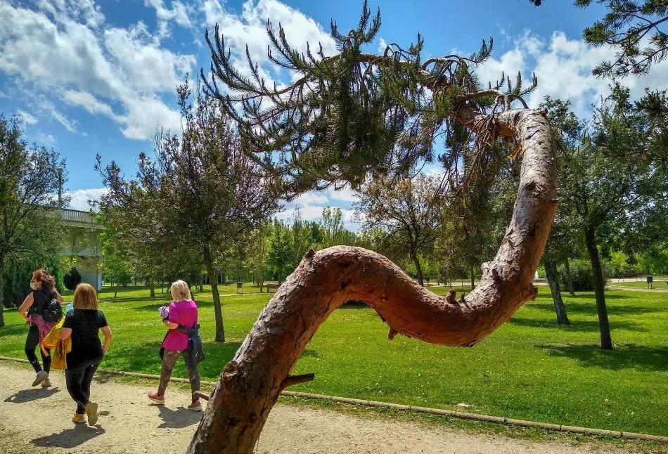 ¿Único o retorcido?