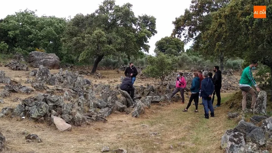 Las labores de desbroce han dejado al descubierto el espectacular campo de piedras hincadas / E. Corredera