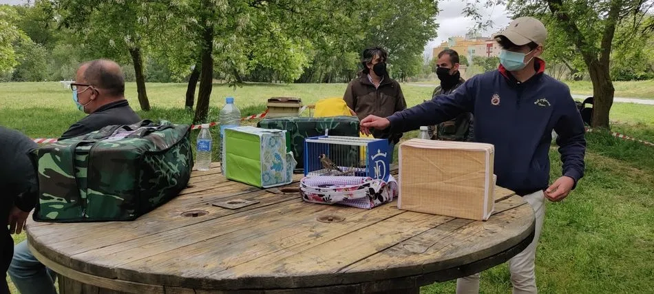 XIV Campeonato de silvestrismo de Castilla y León, en la isla del Soto