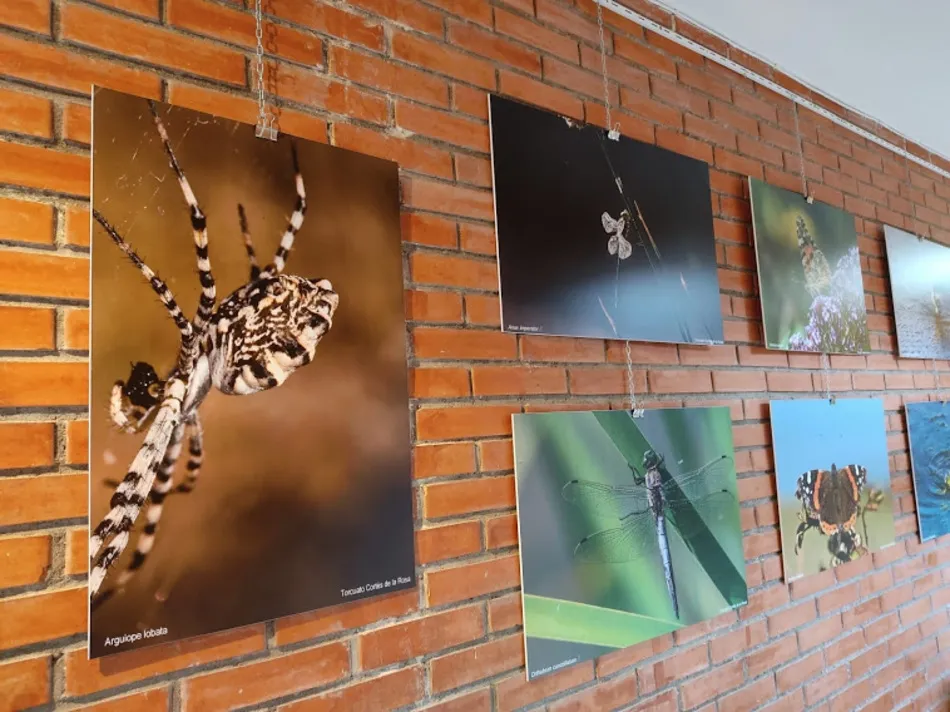 La exposición ‘Naturaleza a la puerta de casa’ podrá visitarse hasta el 11 de junio 