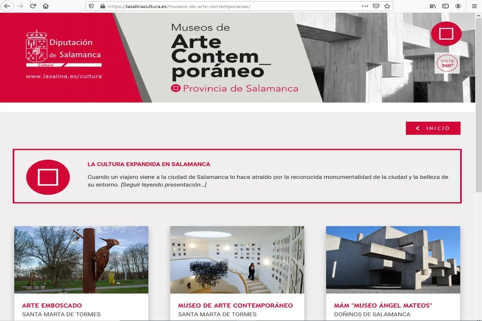 Visitas virtuales a los Museos de Arte Contemporáneo de la provincia