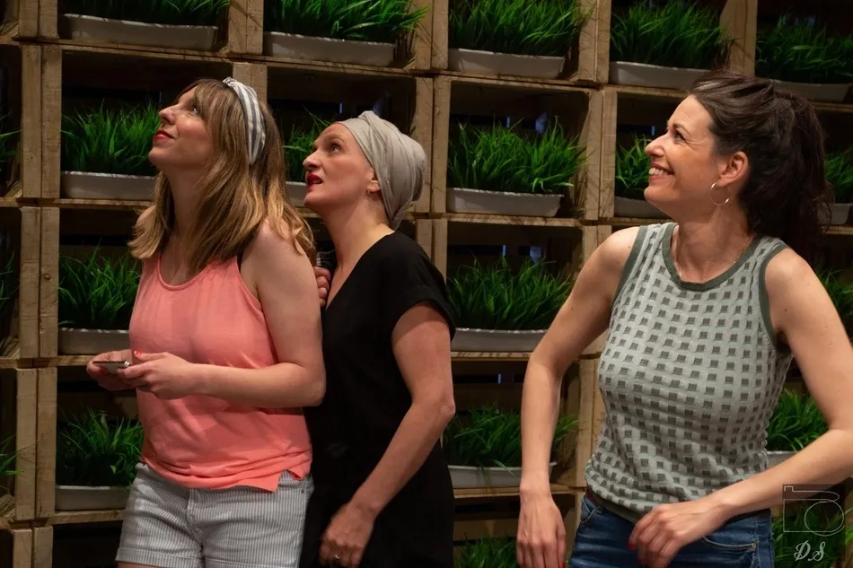 El Teatro Liceo acoge este sábado ‘El enjambre’, una comedia por seis actrices