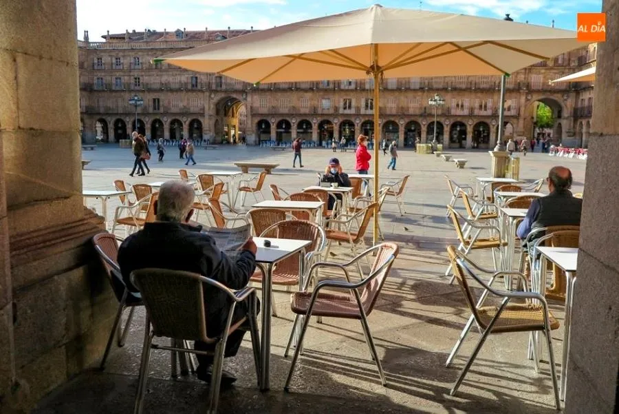 La mayoría de las empresas inscritas en la Seguridad Social pertenecen al sector servicios