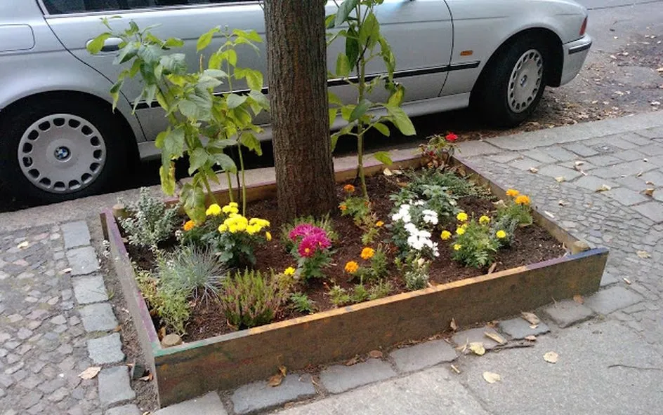 Alcorque con vegetación en la ciudad de Berlín. Foto ciudadobservatorio.com