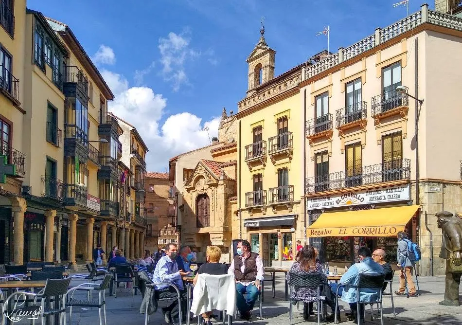 Las imprescindibles conexiones sociales