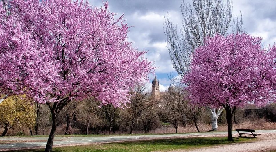 Fantasía en la realidad