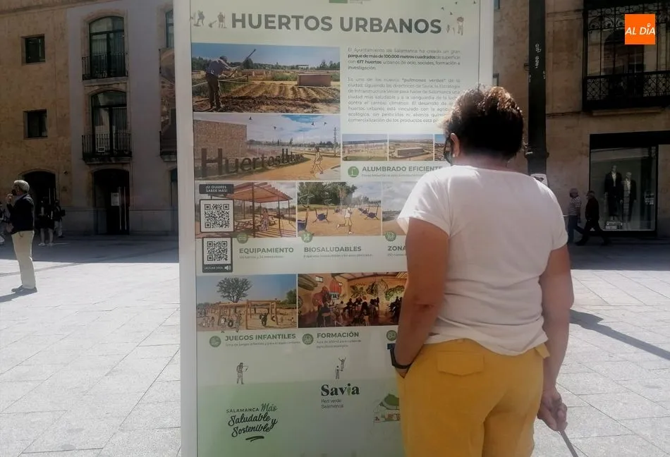 El Ayuntamiento muestra en una exposición los avances para hacer la ciudad es más saludable y...