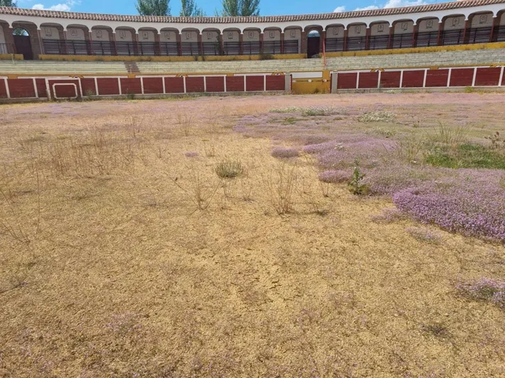 Imagen del ruedo de la Plaza La Florida de Peñaranda. PP