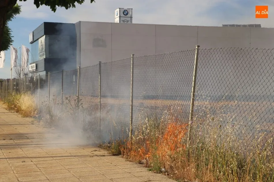 Llamas en la parcela antes de ser extinguidas por los bomberos - Lydia González