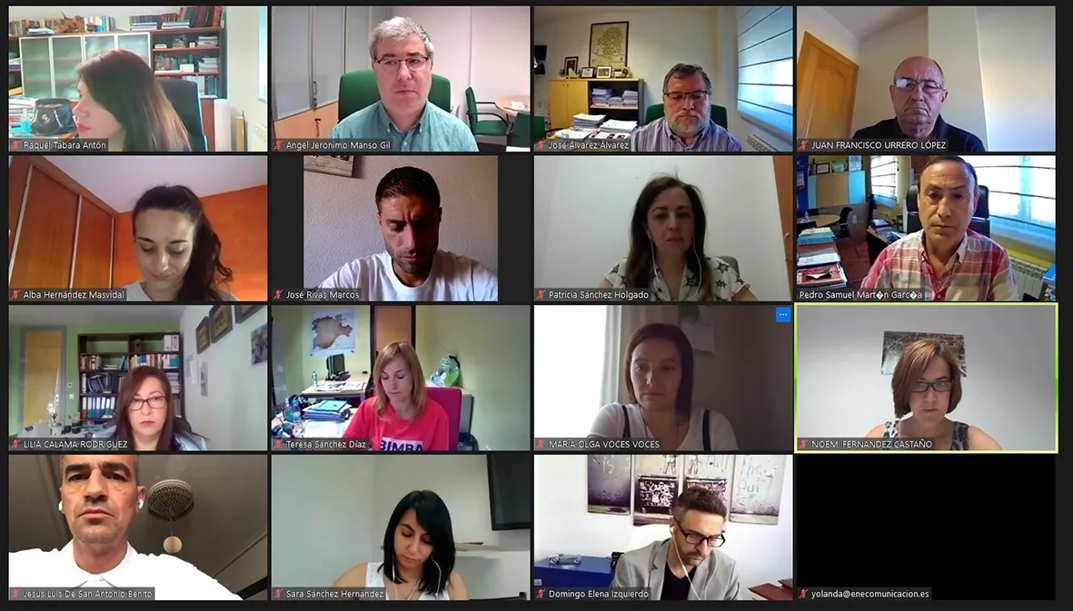 Imagen del pleno por vía telemática