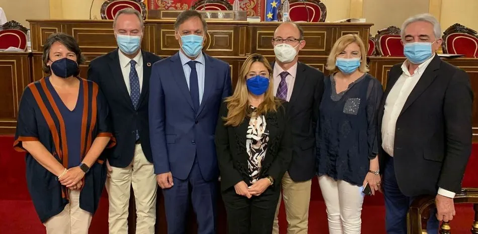 El alcalde de Salamanca y presidente de la Comisión de Cooperación al Desarrollo de la FEMP, Carlos García Carbayo, en el centro, en el Senado