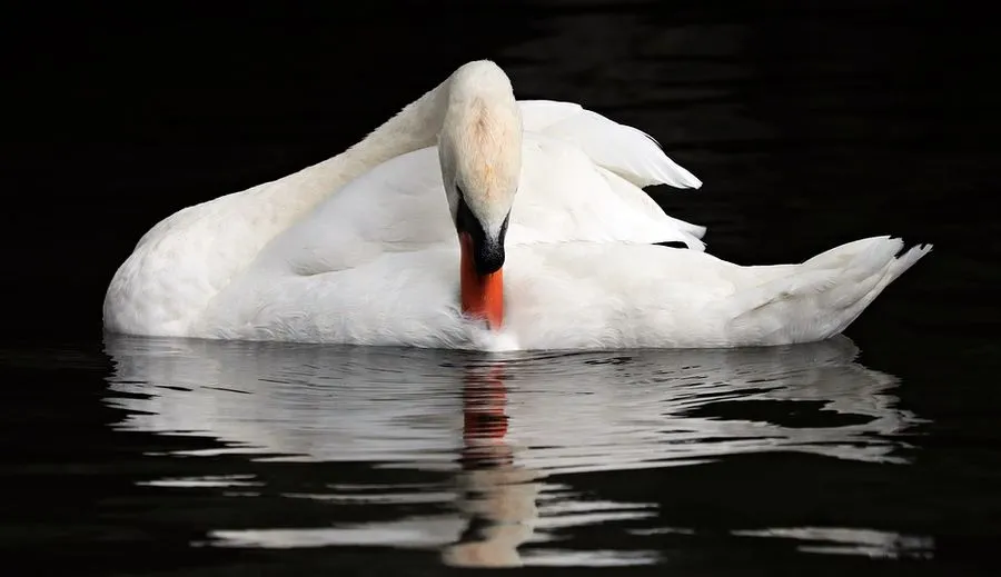 La enfermedad de nuestro tiempo
