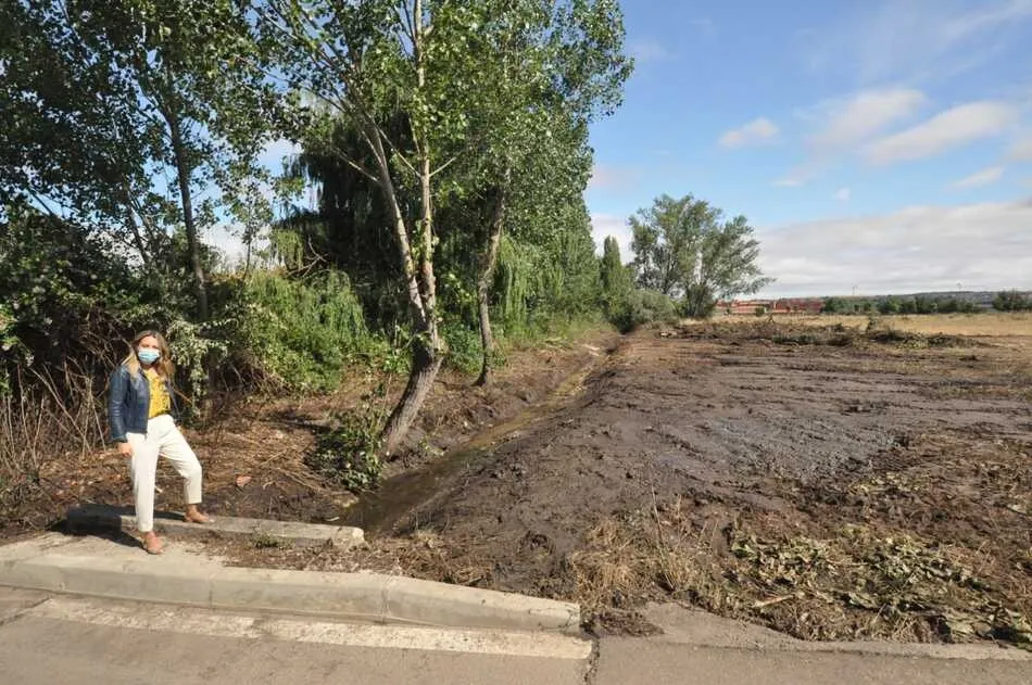 Limpieza del arroyo junto a la urbanización San Michel