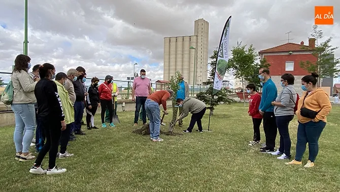 El proyecto Arbolar de la Diputación llega a Peñaranda