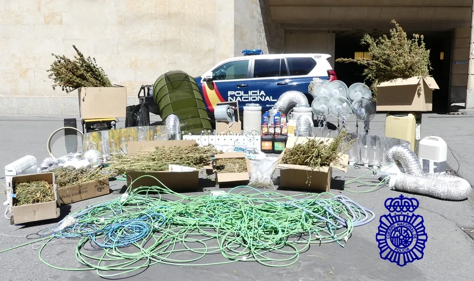 Dos detenidos cuando salían del local en el que tenían una plantación ‘indoor’ de marihuana 