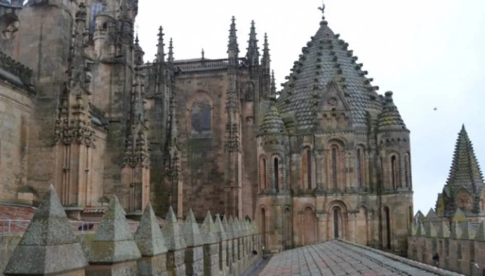 Un recorrido para pasear por los tejados de la Catedral