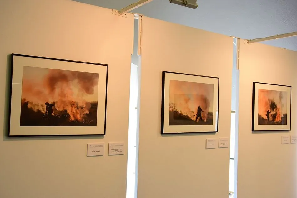 Colección ganadora en el año 2019, último en que se realizó el concurso - Diputación de Salamanca