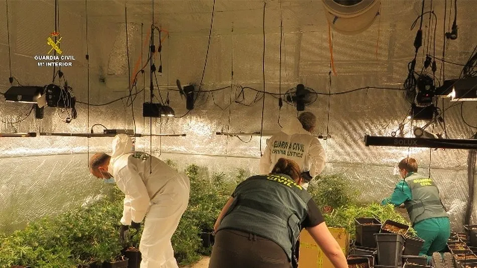 Agentes de la Benemérita en el interior de uno de los semirremolques decomisados - Guardia Civil