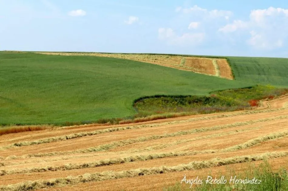 Lo que fue y lo que será