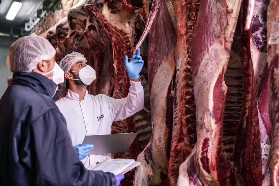 A partir de mayo se inició una caída de los precios que aún no ha parado