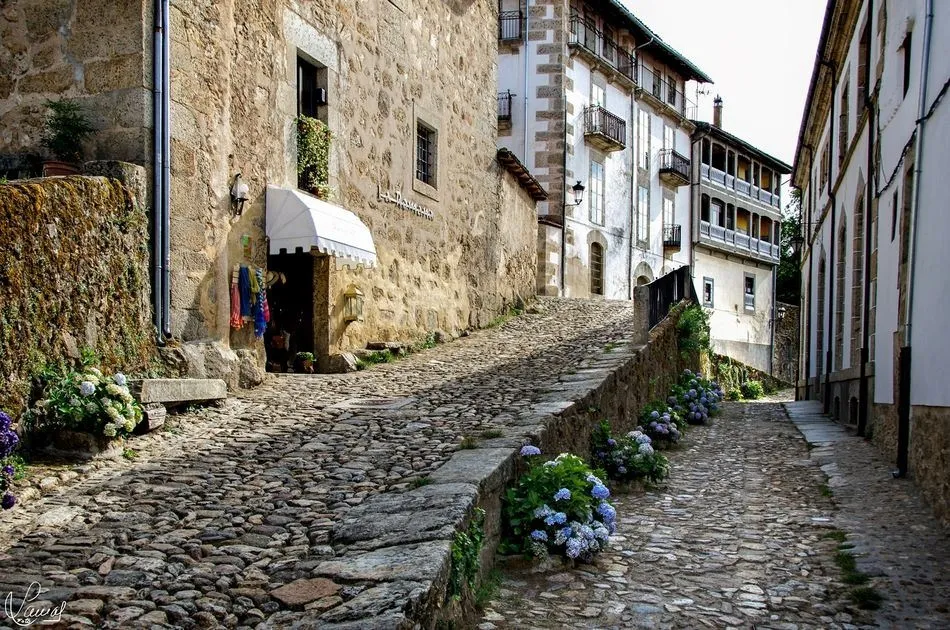 Piedras, flores, historia...