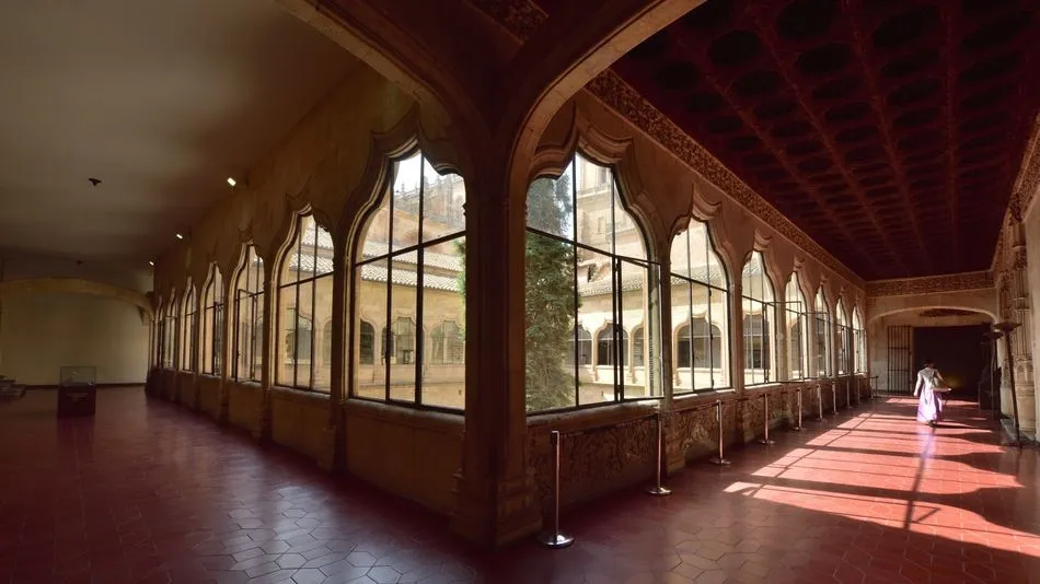 Triste y sola queda la Universidad