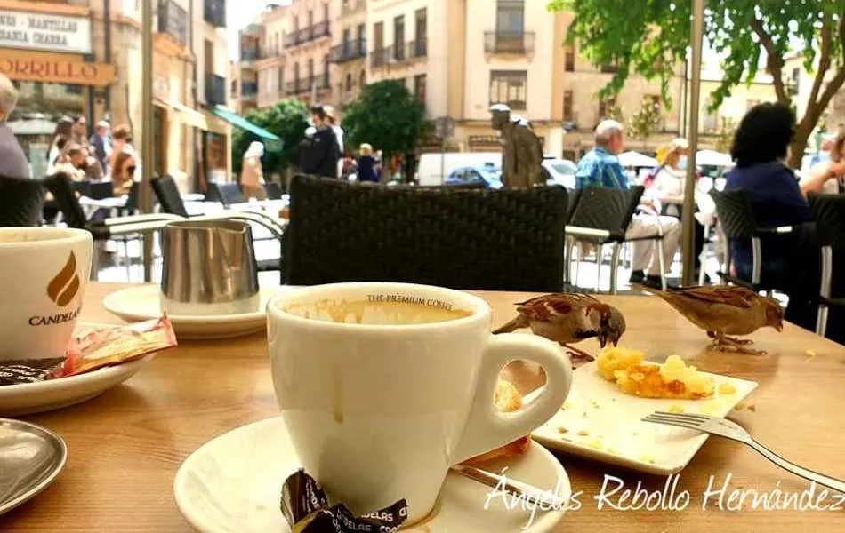 Desayuno con los amigos