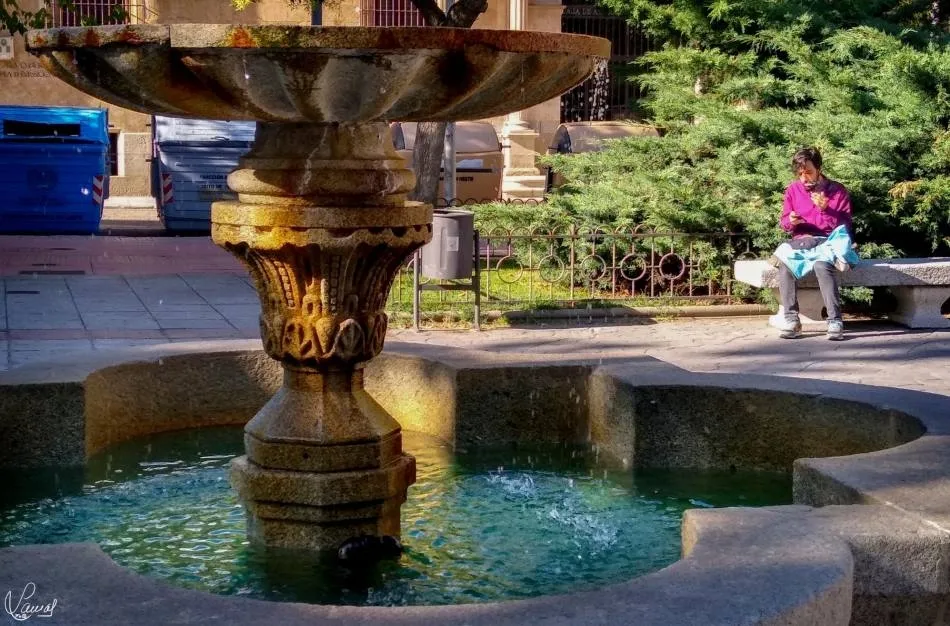 Un alto en el camino