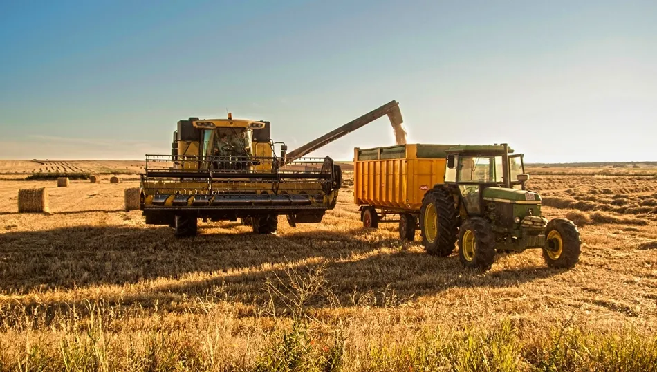 Béndito sea el fruto