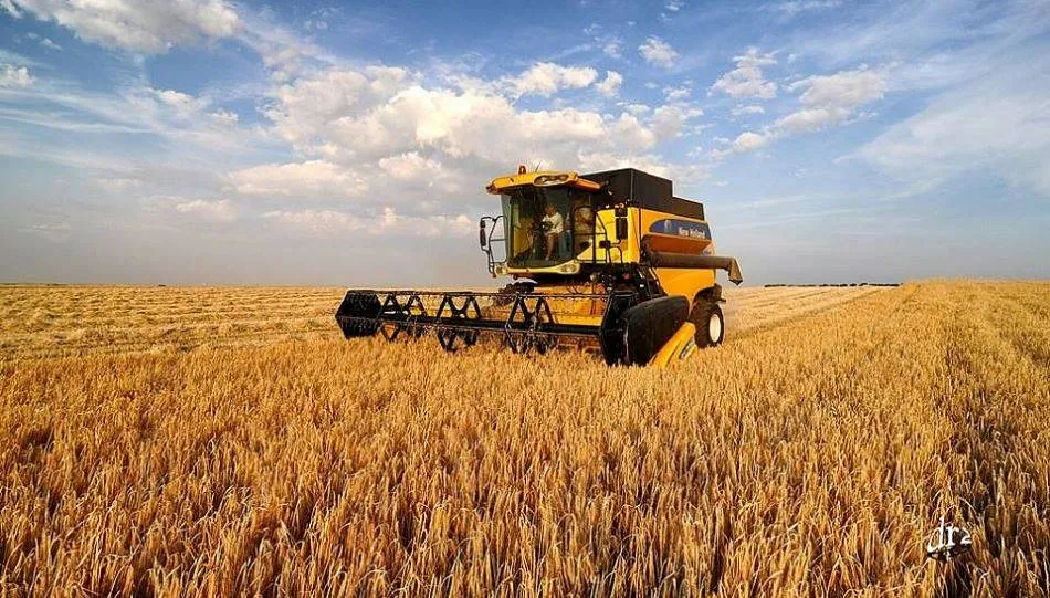 Las indemnizaciones por seguro agrario en CyL alcanzan los 50,3 millones en los seis primeros meses ...